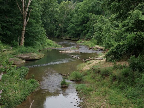 5490 Old Mill Creek Rd , Nunnelly, TN 37137
