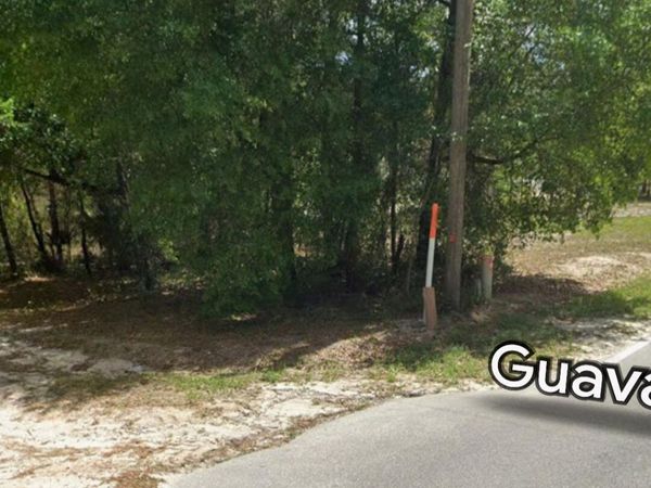 206 GUAVA AVENUE, Pomona Park, FL 32181