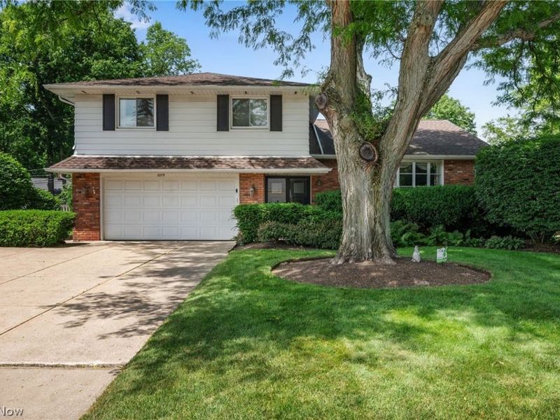 5379 Meadow Wood Boulevard, Lyndhurst, OH 44124 Photo 1
