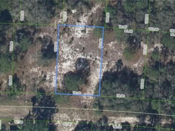 318 Glenbrier AVE , LAKE PLACID, FL 33852
