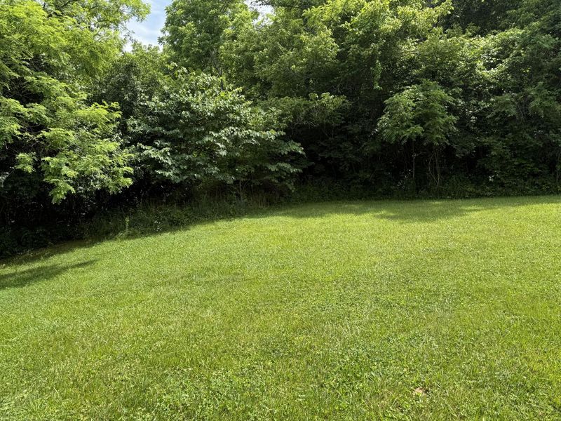 1.3 acres Four Mile Circle, Melbourne, KY 41059 Photo 3