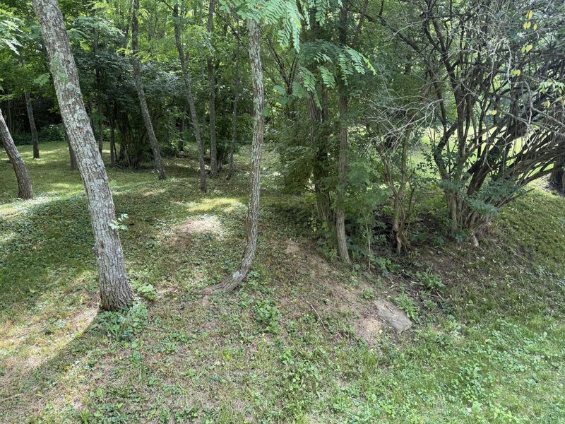 1.3 acres Four Mile Circle, Melbourne, KY 41059 Photo 7