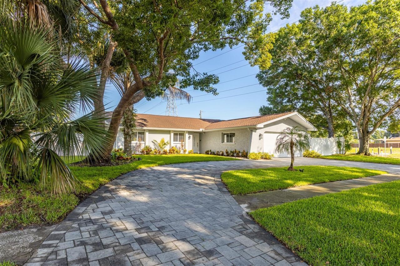 3276 Fox Hill Drive, Clearwater, FL 33761 Photo