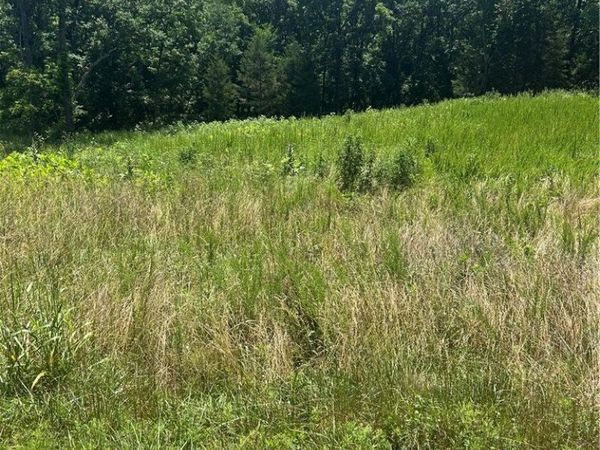 14 Gordon Hollow Drive , Bella Vista, AR 72715
