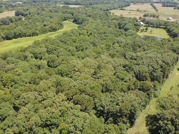 TBD Polk Road 87 , Mena, AR 71953