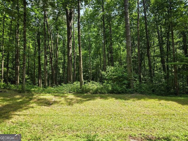 5 LOTS Rome St. & Driver St., Temple, GA 30179