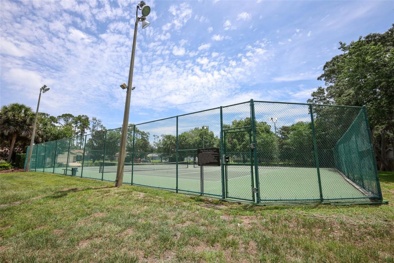9110 Palm Tree Drive, Windermere, FL 34786 Photo