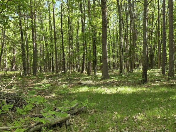 831 E London Road, Harrisville, MI 48740