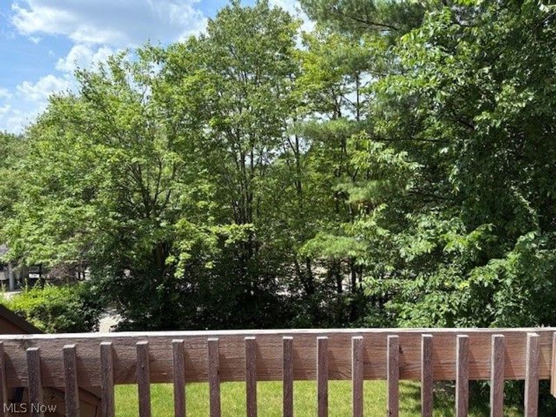 1611 Treetop Trail, Unit B, Akron, OH 44313 Photo 16