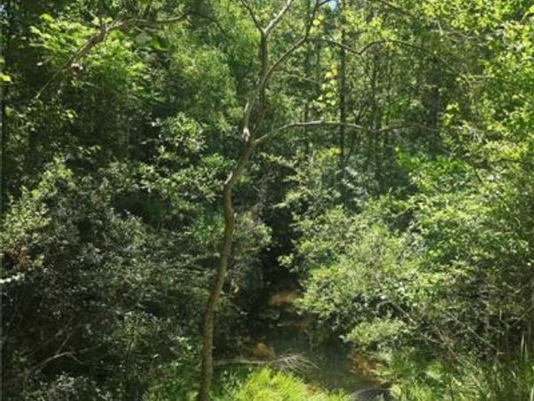 0 Pelham Drive , Mobile, AL 36609
