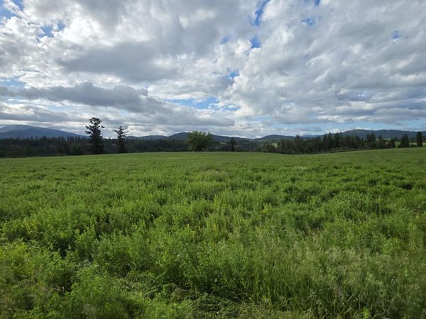 NKA 4 Sunrise Dr, Harrison, ID 83833