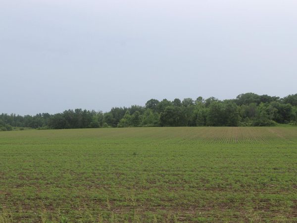1021 120th Avenue, Ogilvie, MN 56358