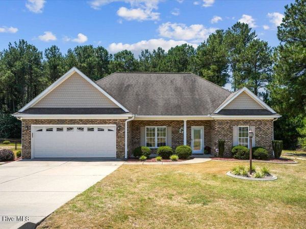 310 S Merganser Drive , Pikeville, NC 27683