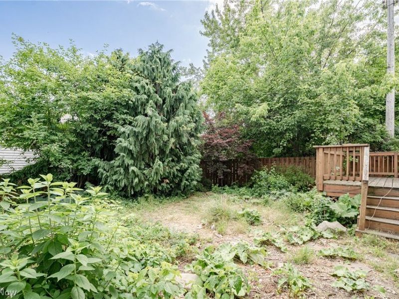 132 E 156th Street, Cleveland, OH 44110 Photo 22