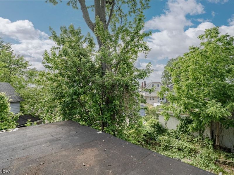 132 E 156th Street, Cleveland, OH 44110 Photo 25