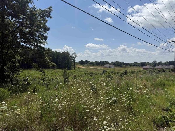3.98 acres Mockingbird Lane , Paragould, AR 72450