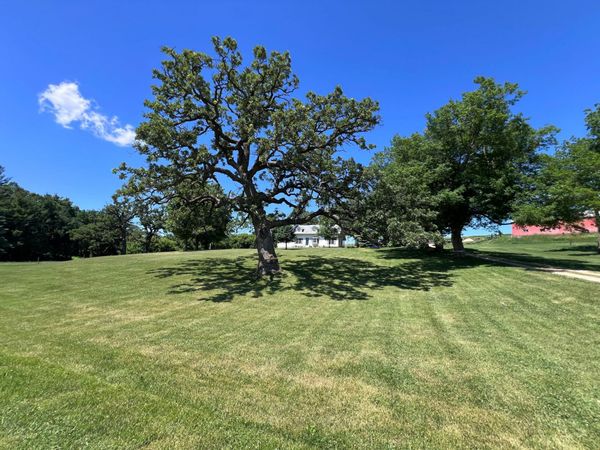 11055 317th Street , Cannon Falls, MN 55009