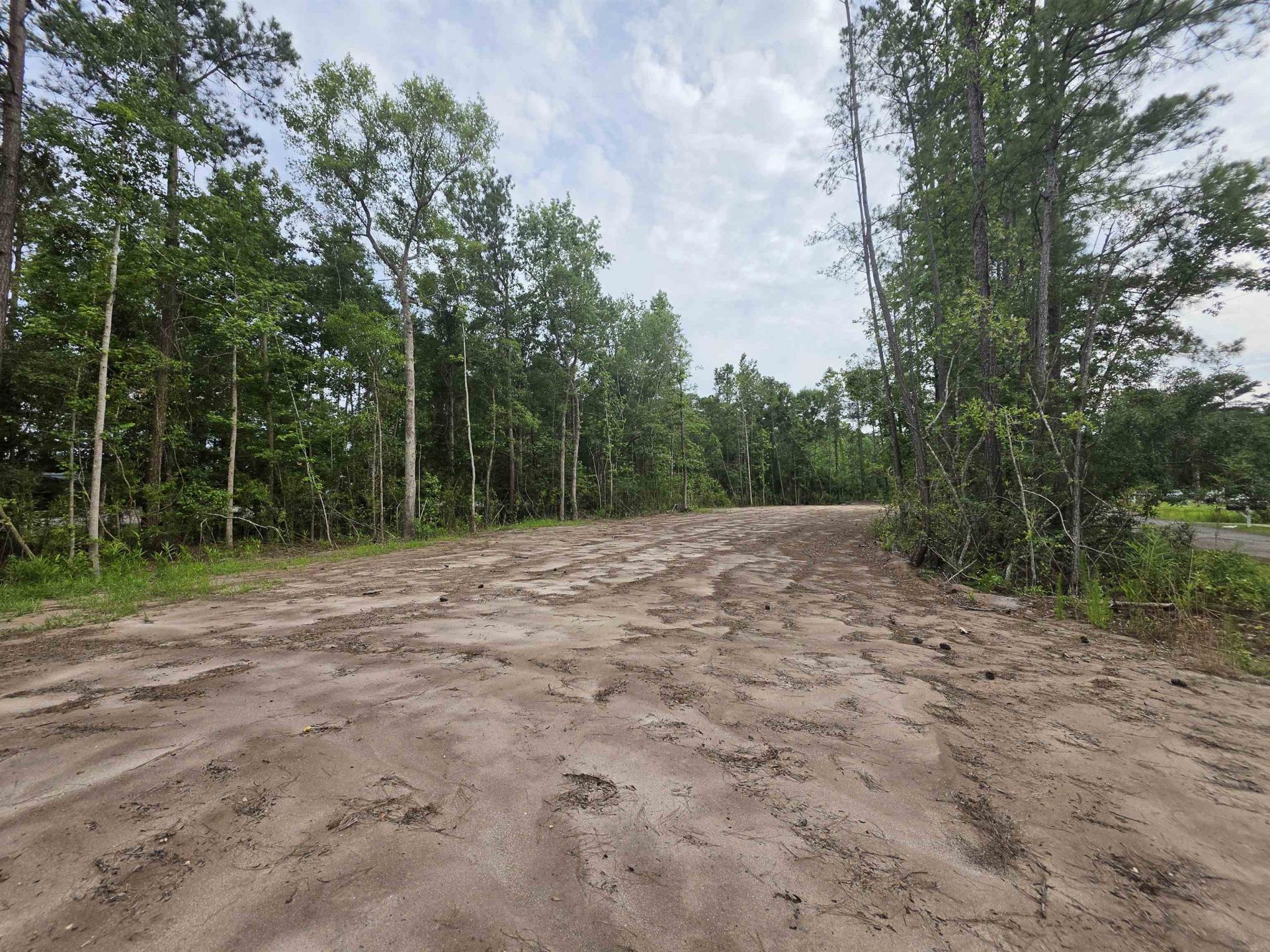 4137 Rose Bud Ln. Photo 10