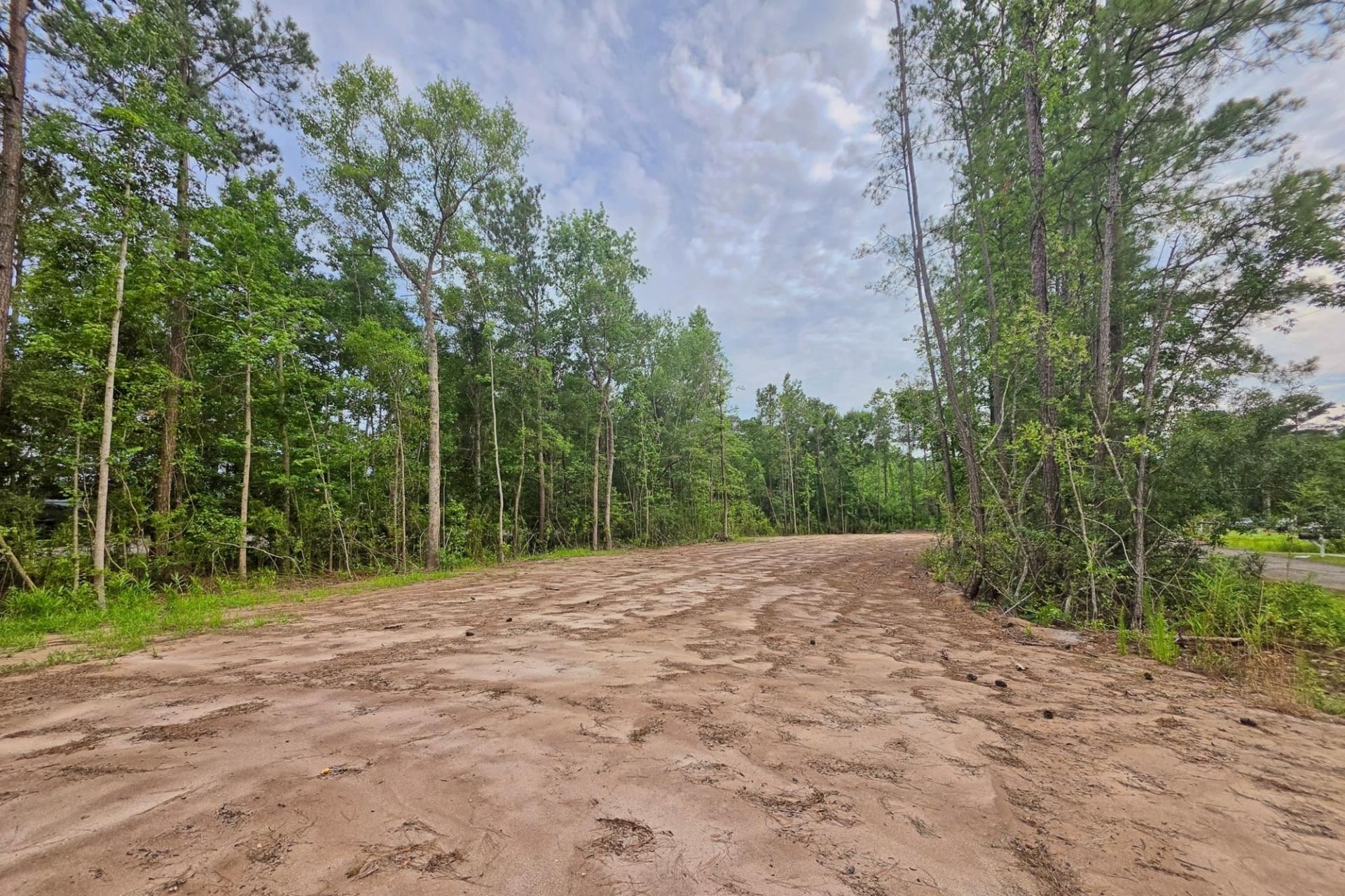 4137 Rose Bud Ln. Photo 10
