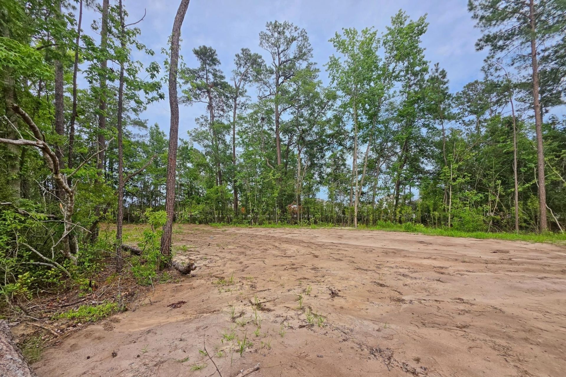 4137 Rose Bud Ln. Photo 12