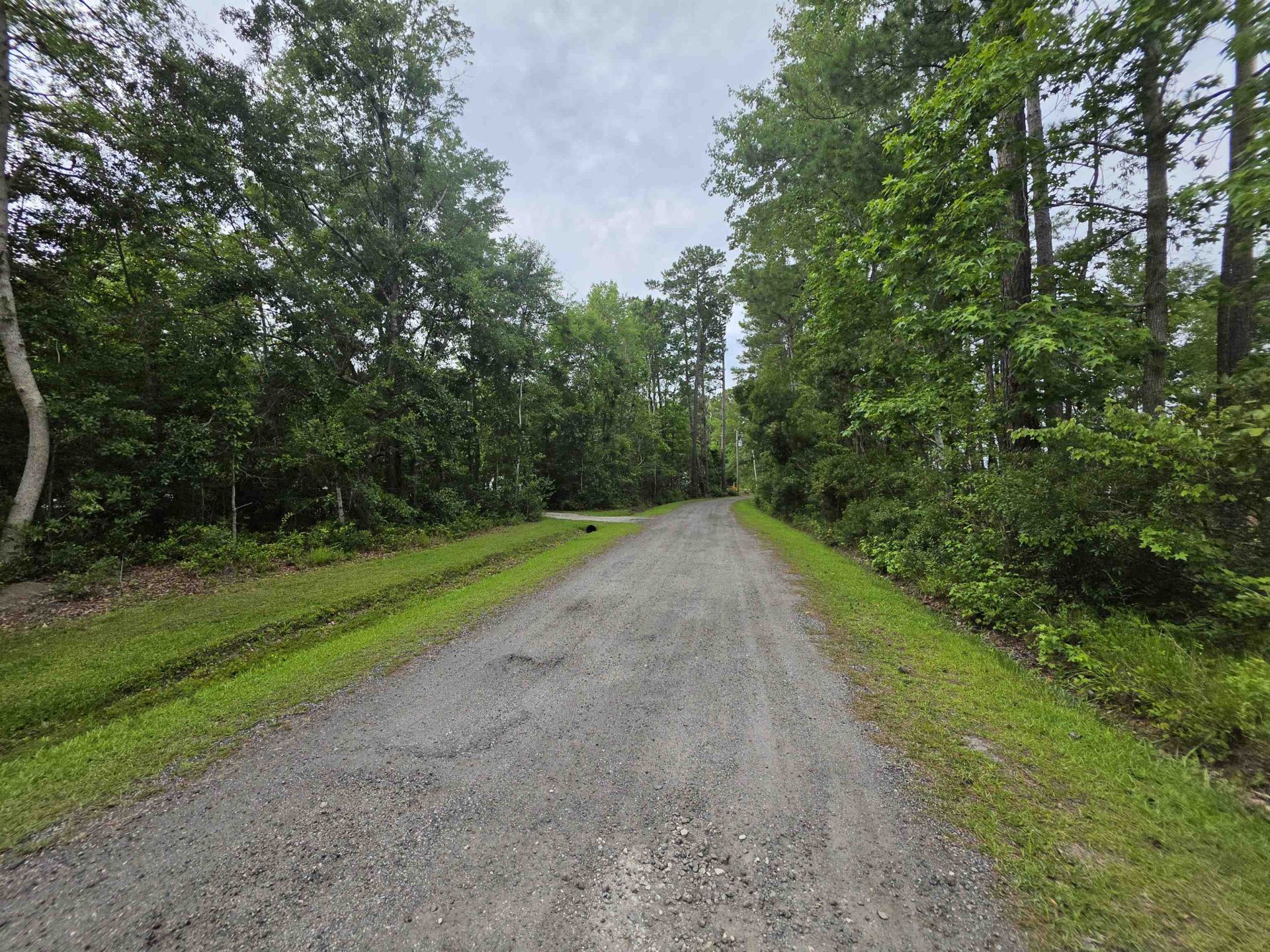 4137 Rose Bud Ln. Photo 15