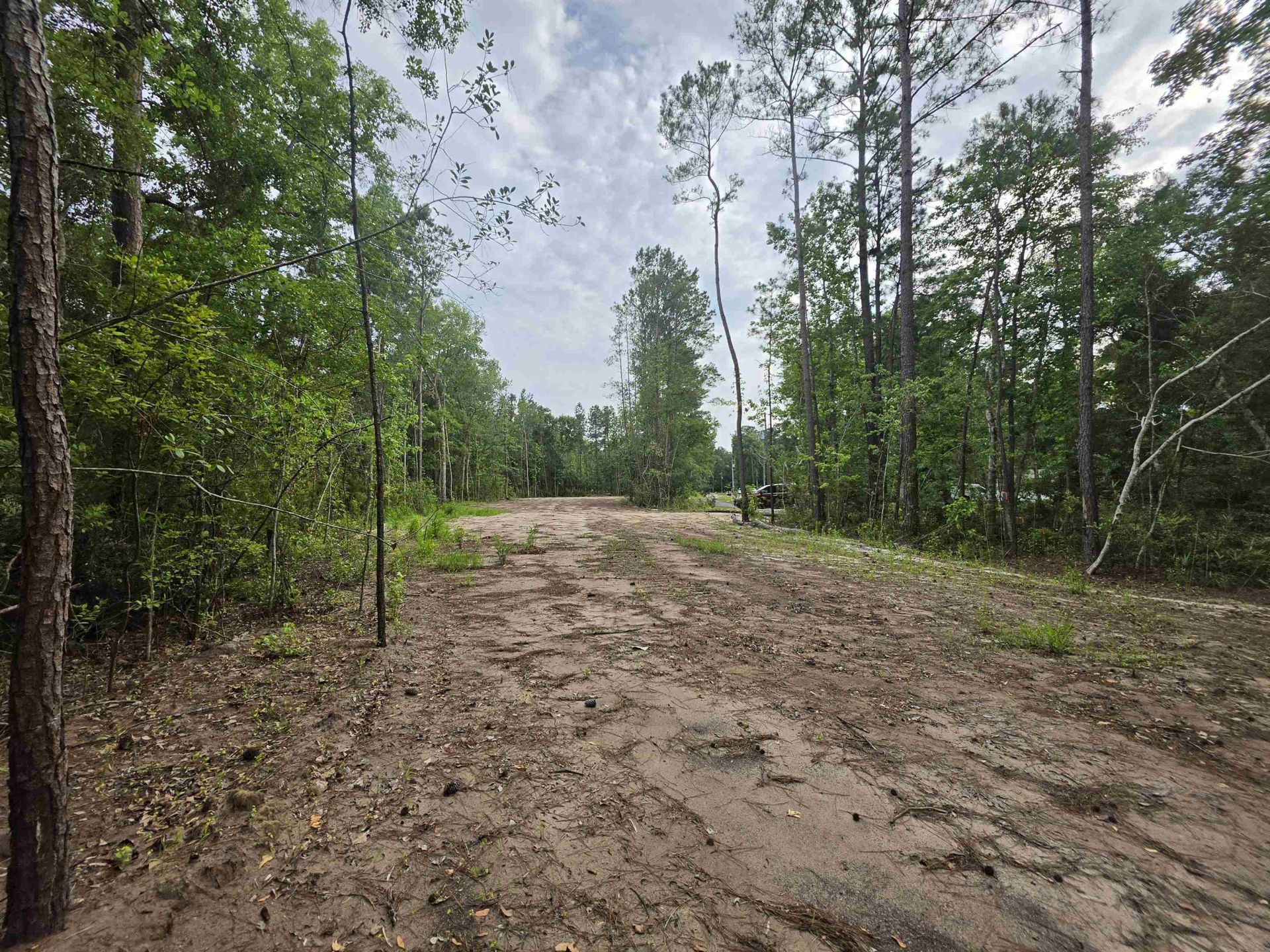 4137 Rose Bud Ln. Photo 17