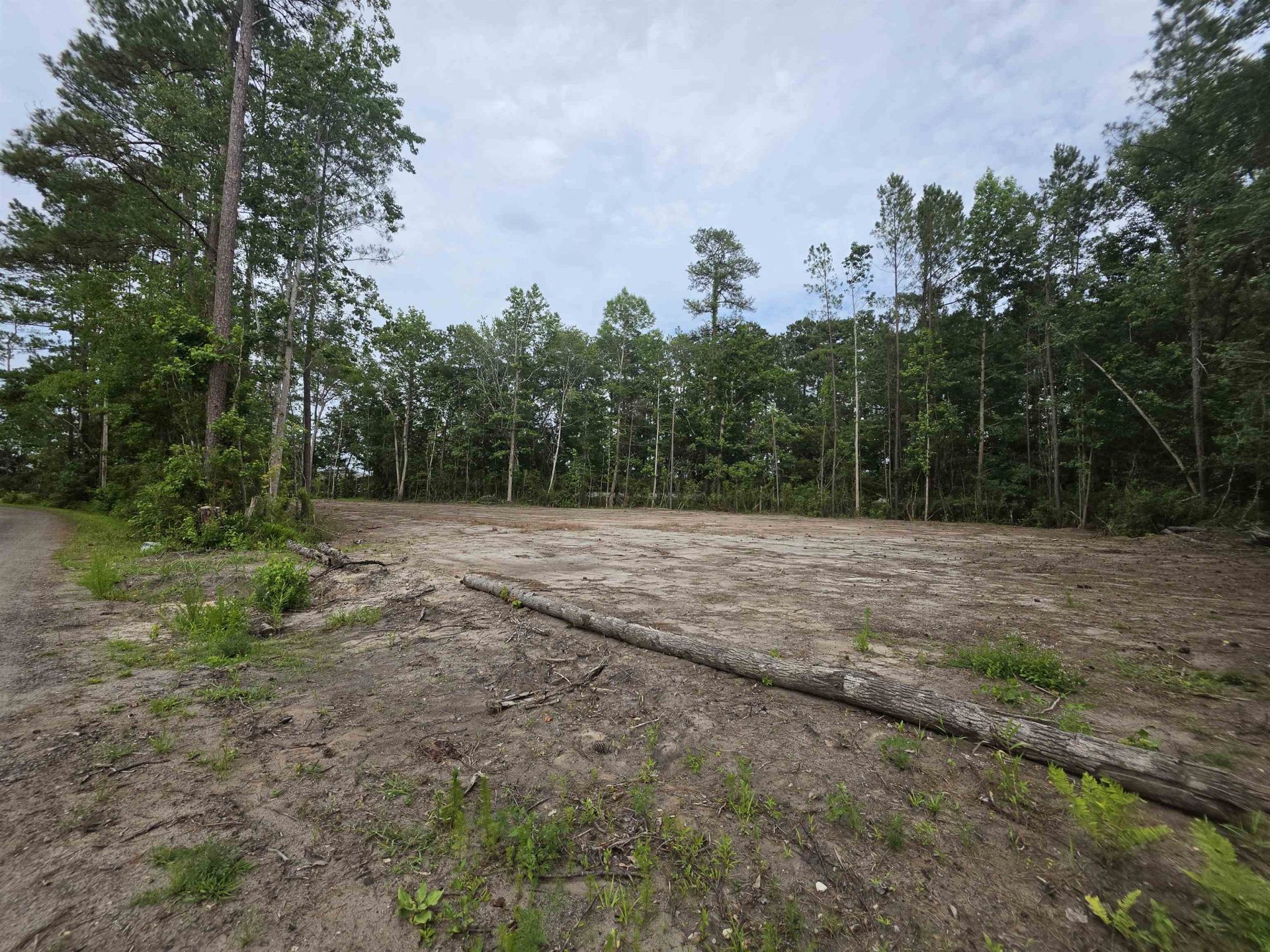 4137 Rose Bud Ln. Photo 6