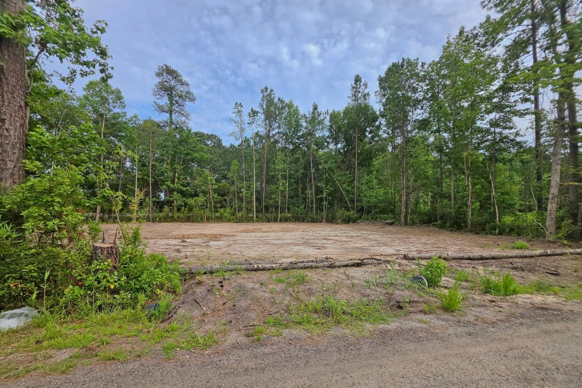 4137 Rose Bud Ln. Photo 6