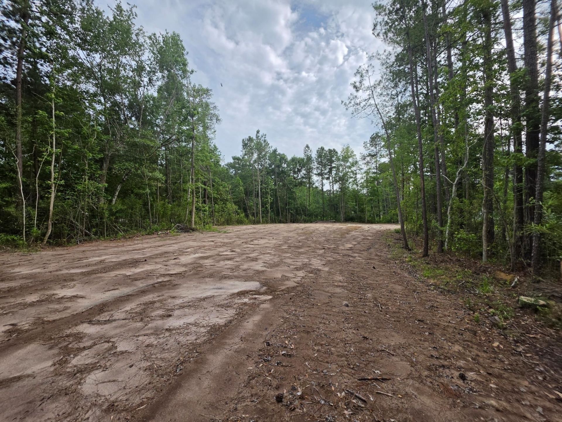 4137 Rose Bud Ln. Photo 7