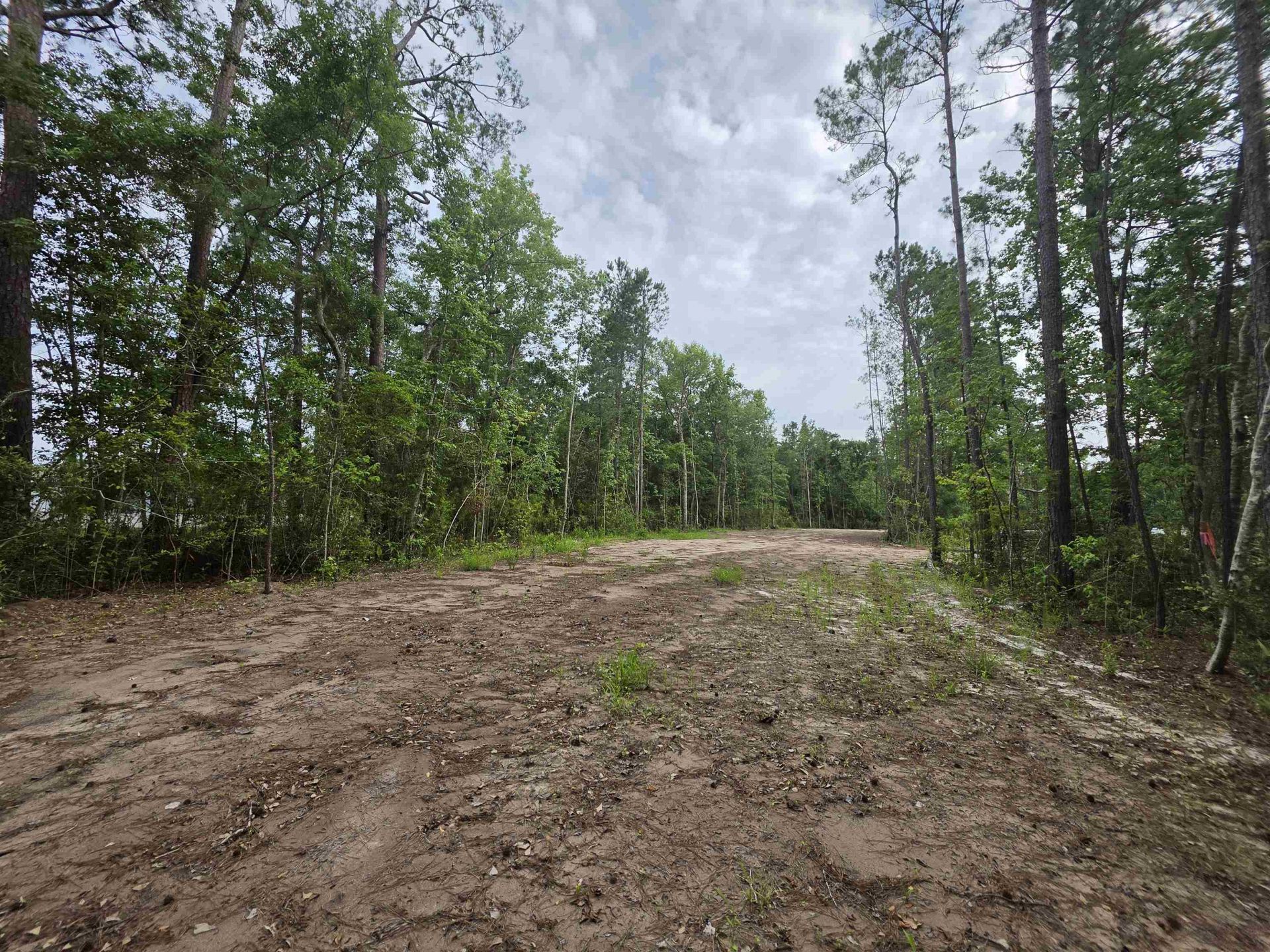 4137 Rose Bud Ln. Photo 8