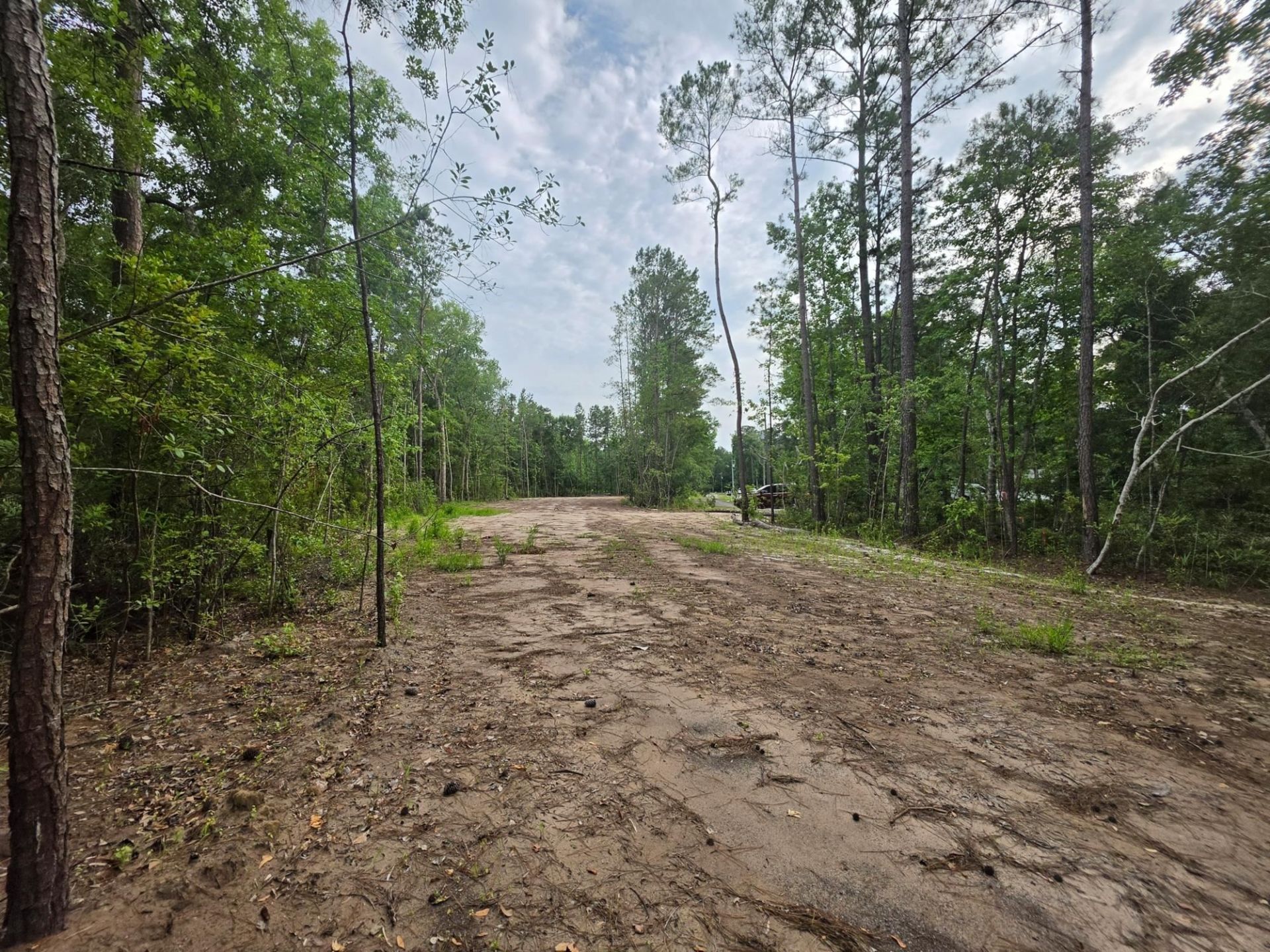 4137 Rose Bud Ln. Photo 9