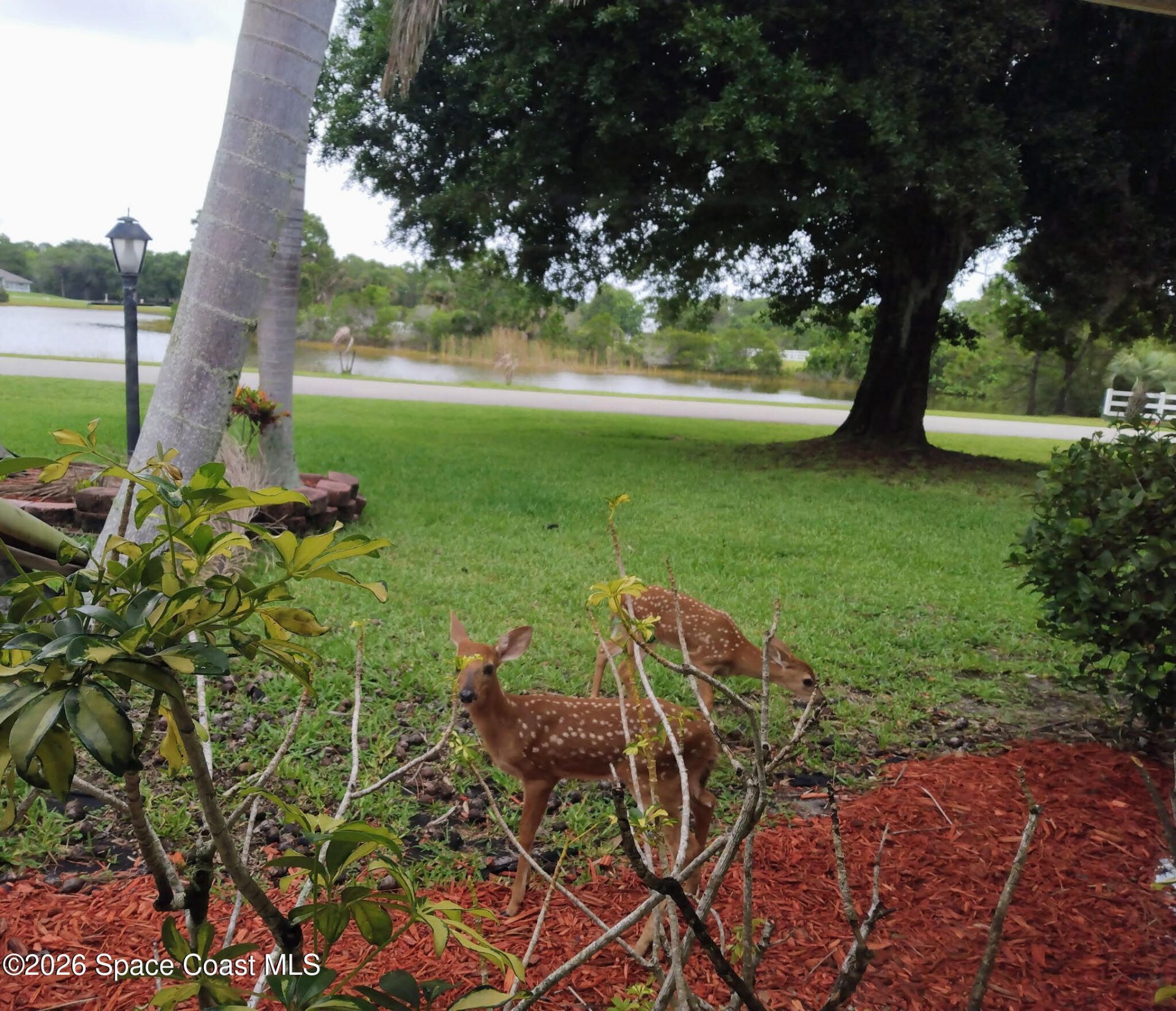 4500 Hunters Run Circle , Grant, FL 32949 Photo