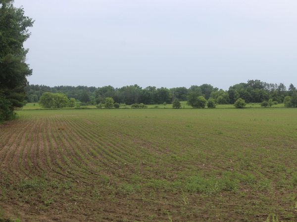 TBD-2 120th Avenue, Ogilvie, MN 56358