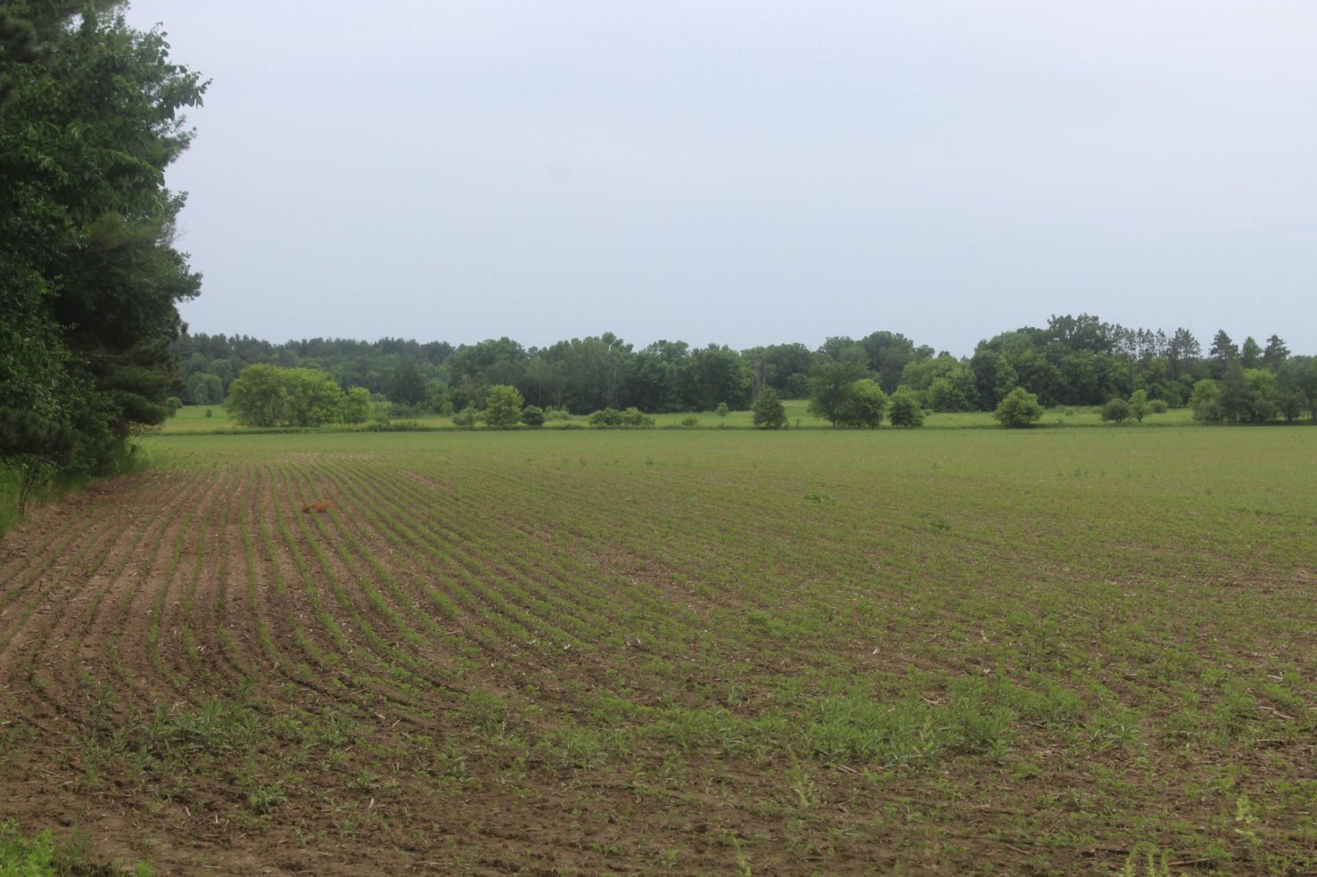 1xxx 120th Avenue , Ogilvie, MN 56358