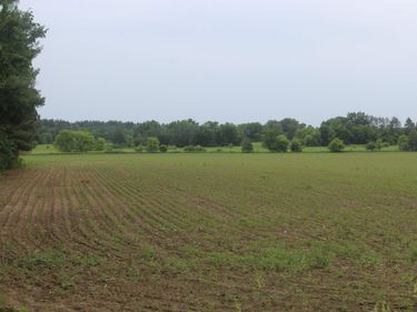 TBD-2 120th Avenue, Ogilvie, MN 56358