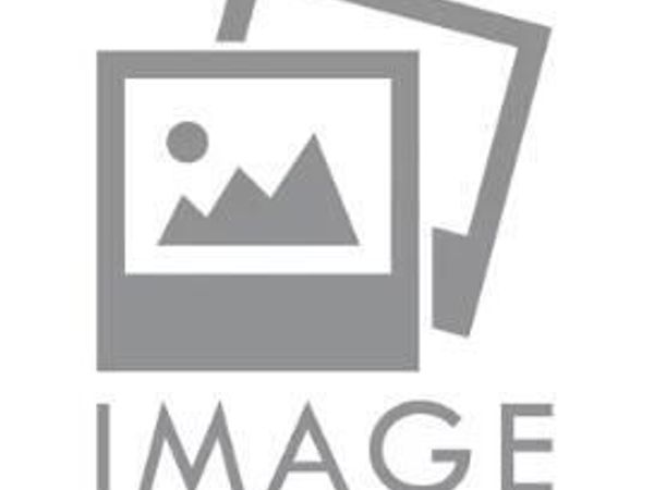 1213 Windbrooke Drive , Grimesland, NC 27837