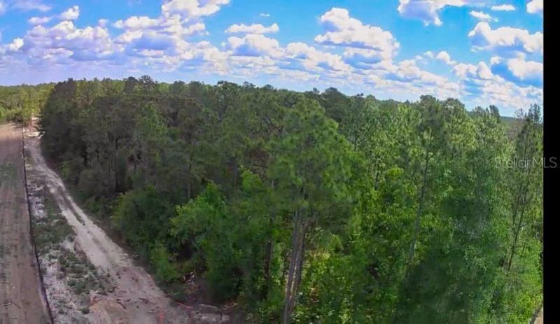 3476 N Iguana Path , Crystal River, FL 34428 Photo