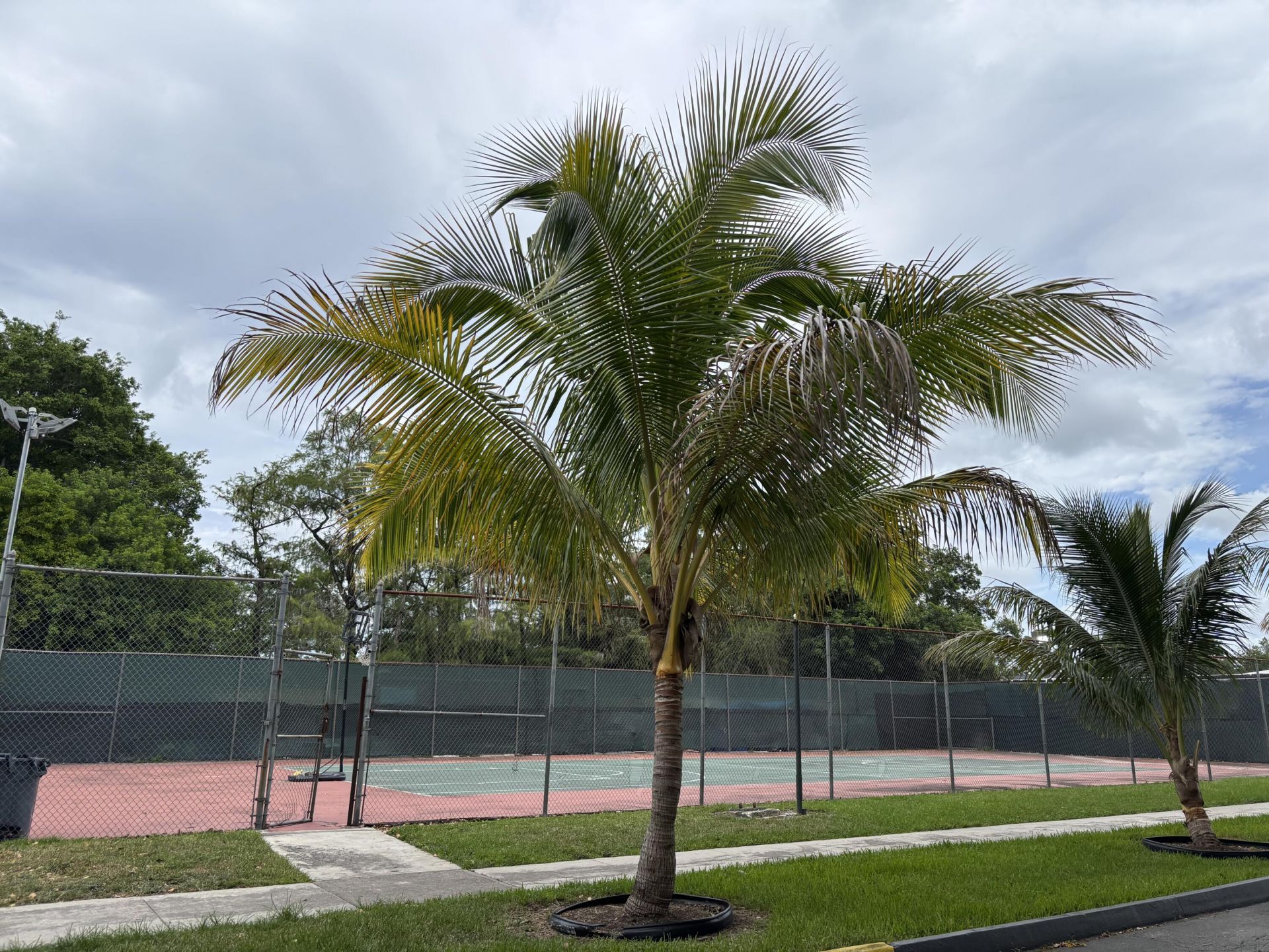 8051 S Colony Circle, Unit 107, Tamarac, FL 33321 Photo