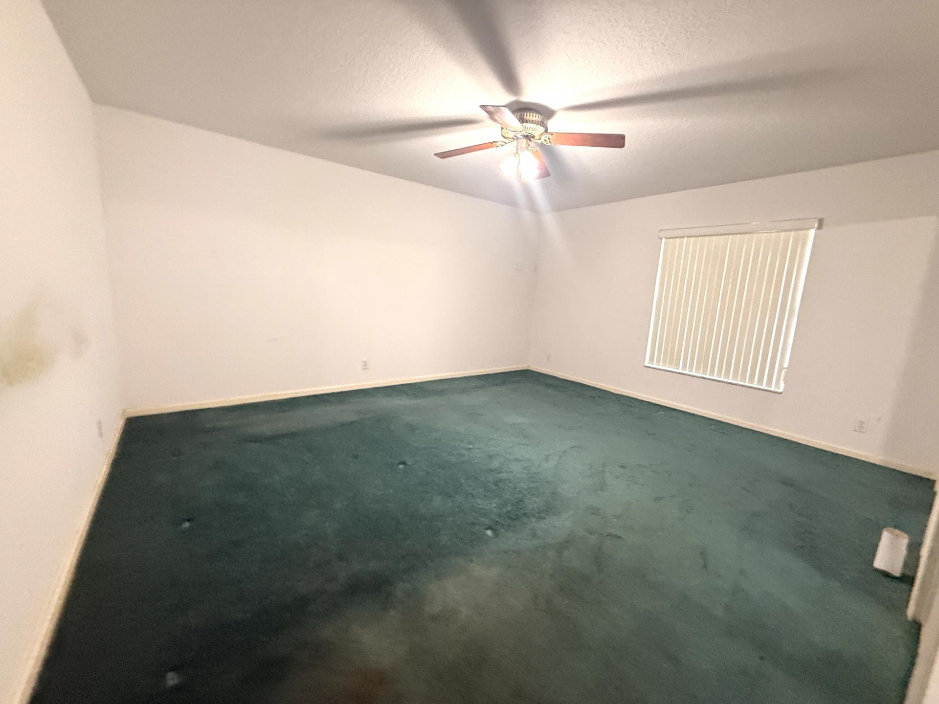 17770 75th Place N, The Acreage, FL 33470 Photo