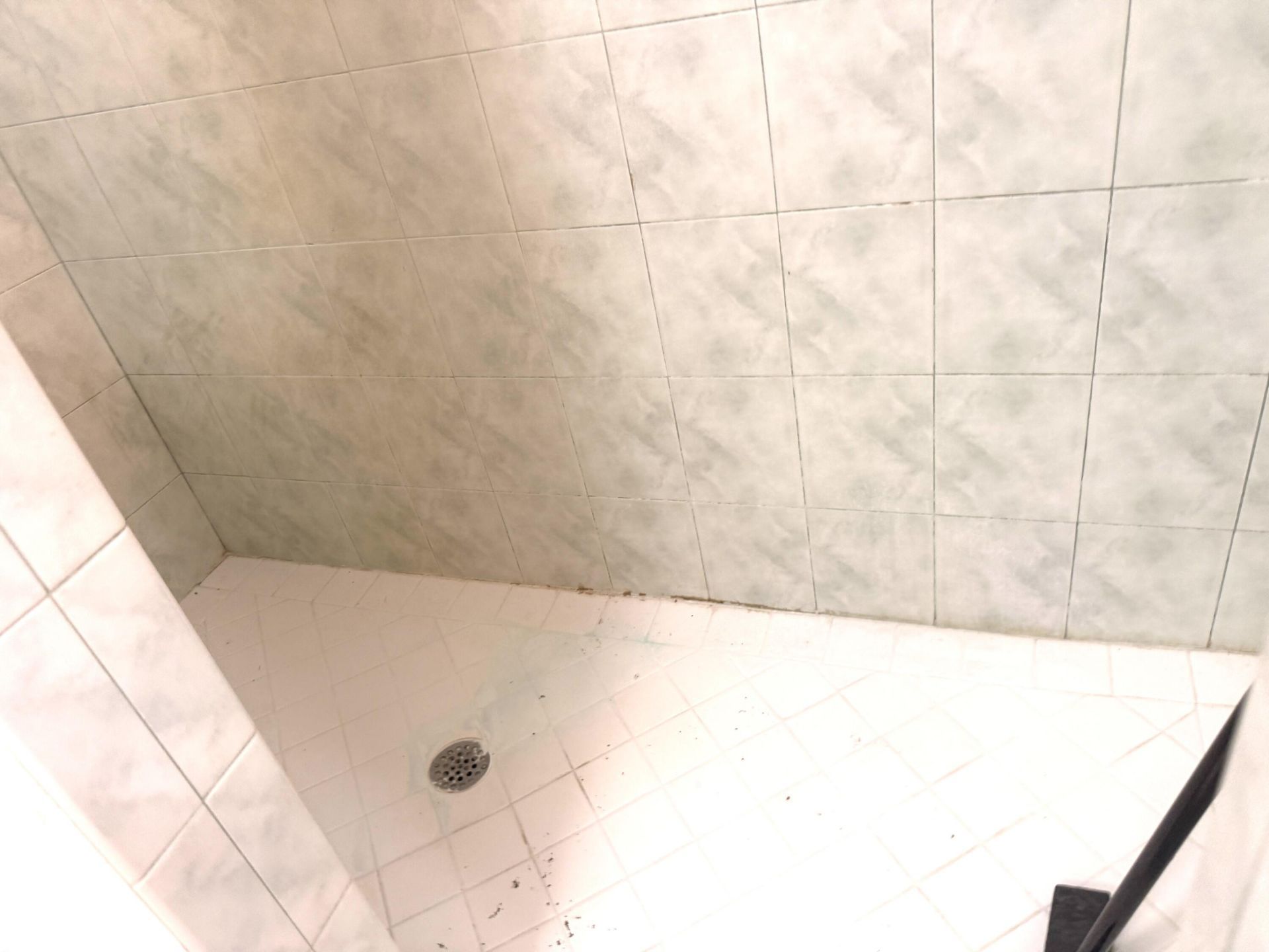 17770 75th Place N, The Acreage, FL 33470 Photo