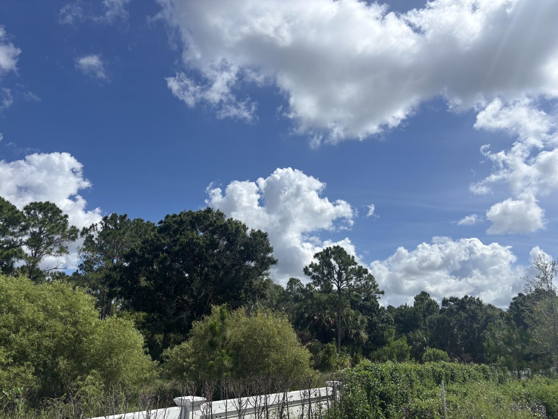 13101 Monte Rosa Court, Palm Beach Gardens, FL 33412 Photo