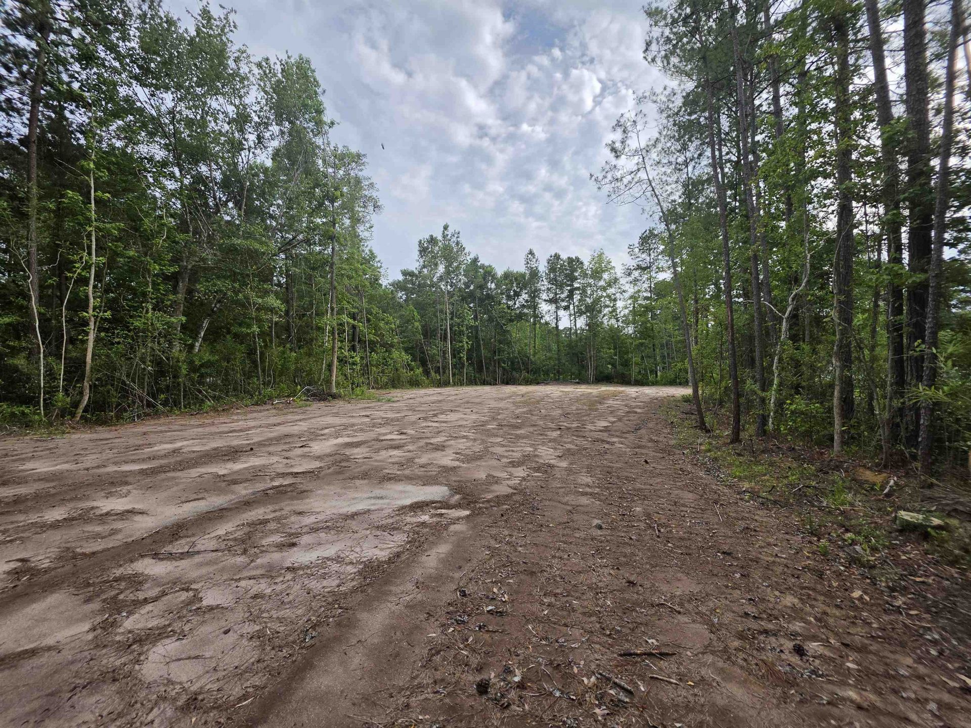 4135 Rose Bud Ln. Photo 11