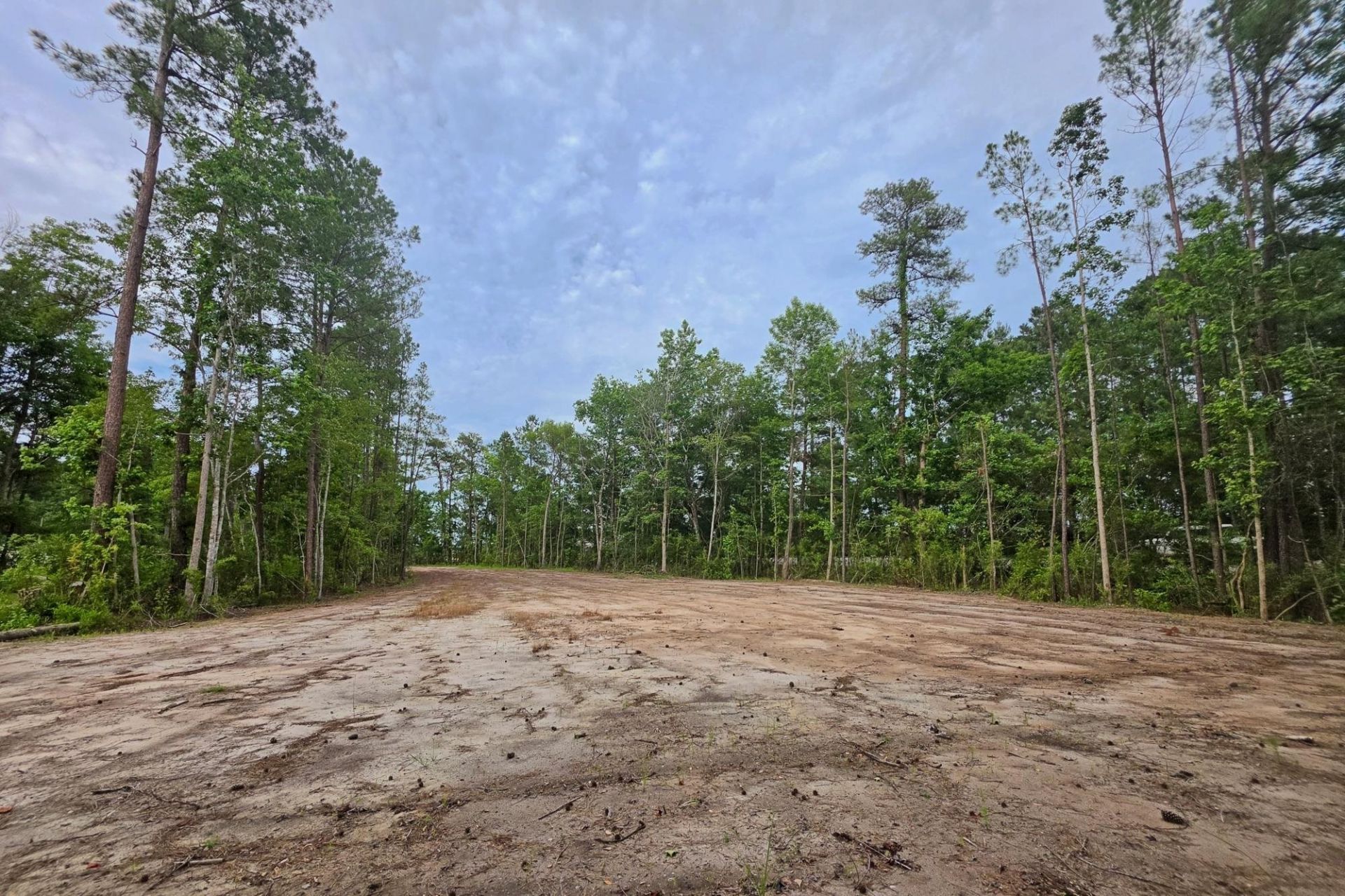 4135 Rose Bud Ln. Photo 13