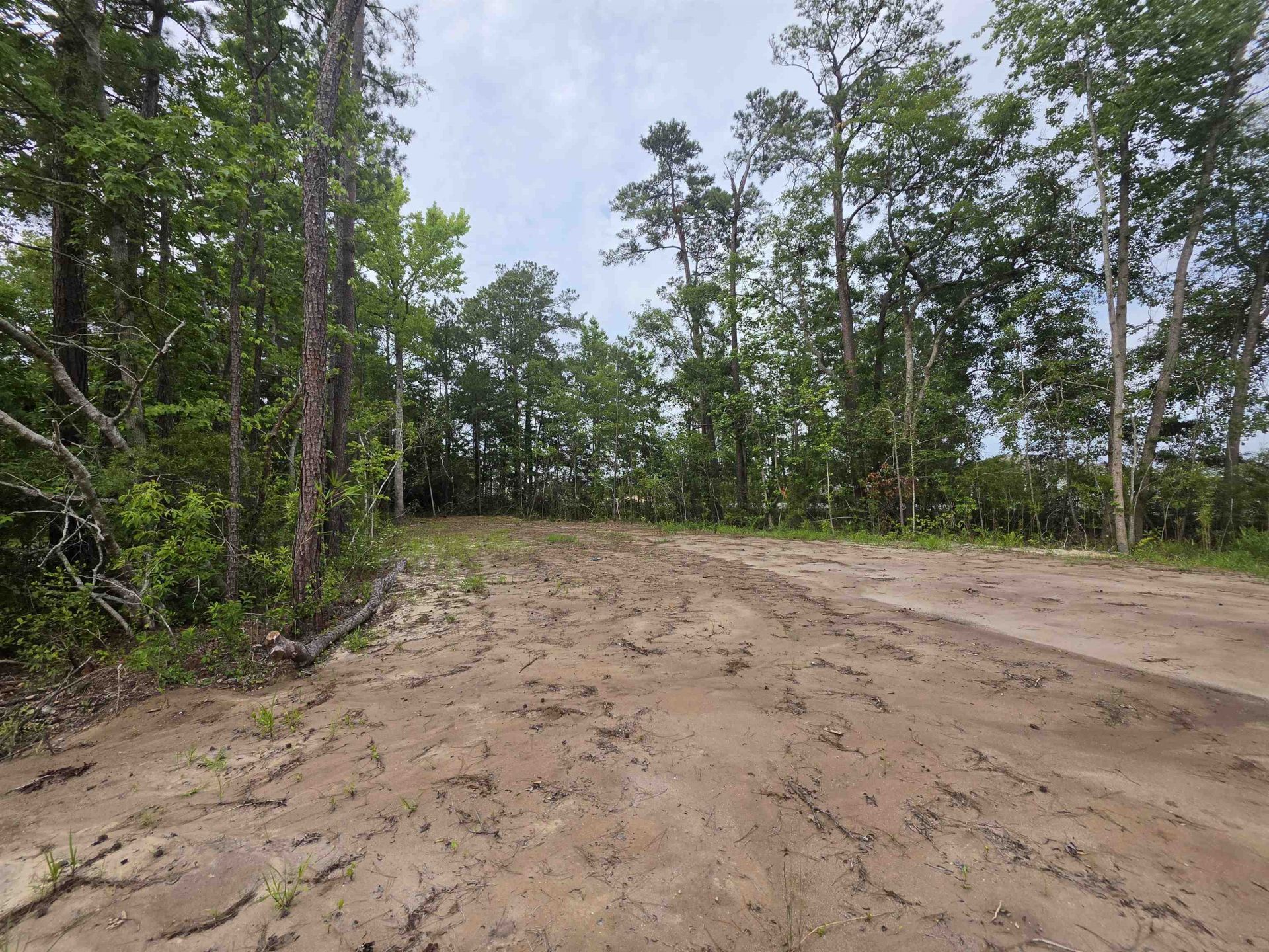 4135 Rose Bud Ln. Photo 15