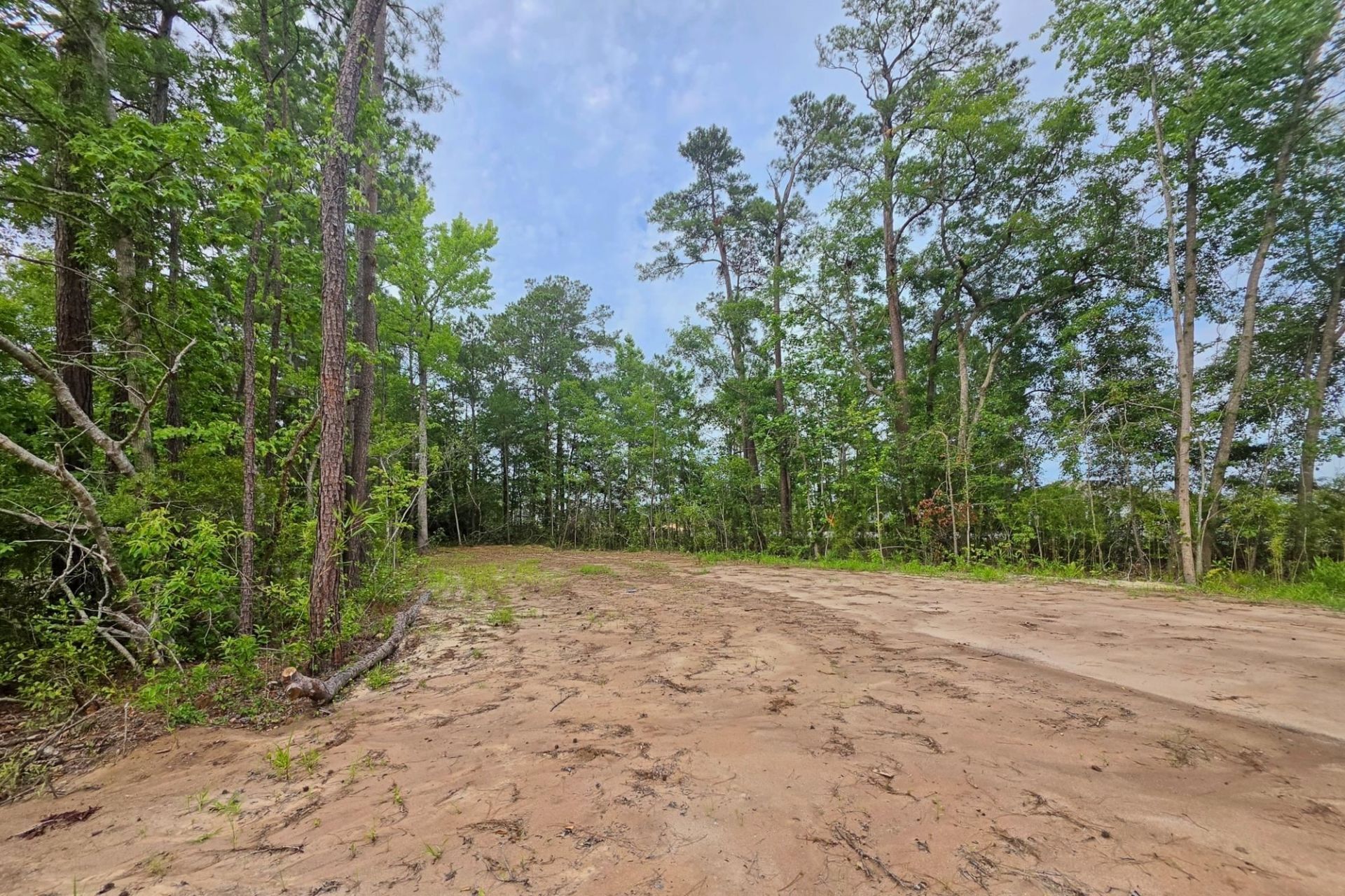 4135 Rose Bud Ln. Photo 4