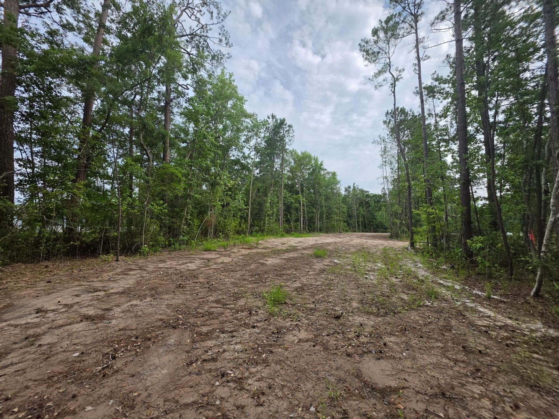 4135 Rose Bud Ln. Photo 7
