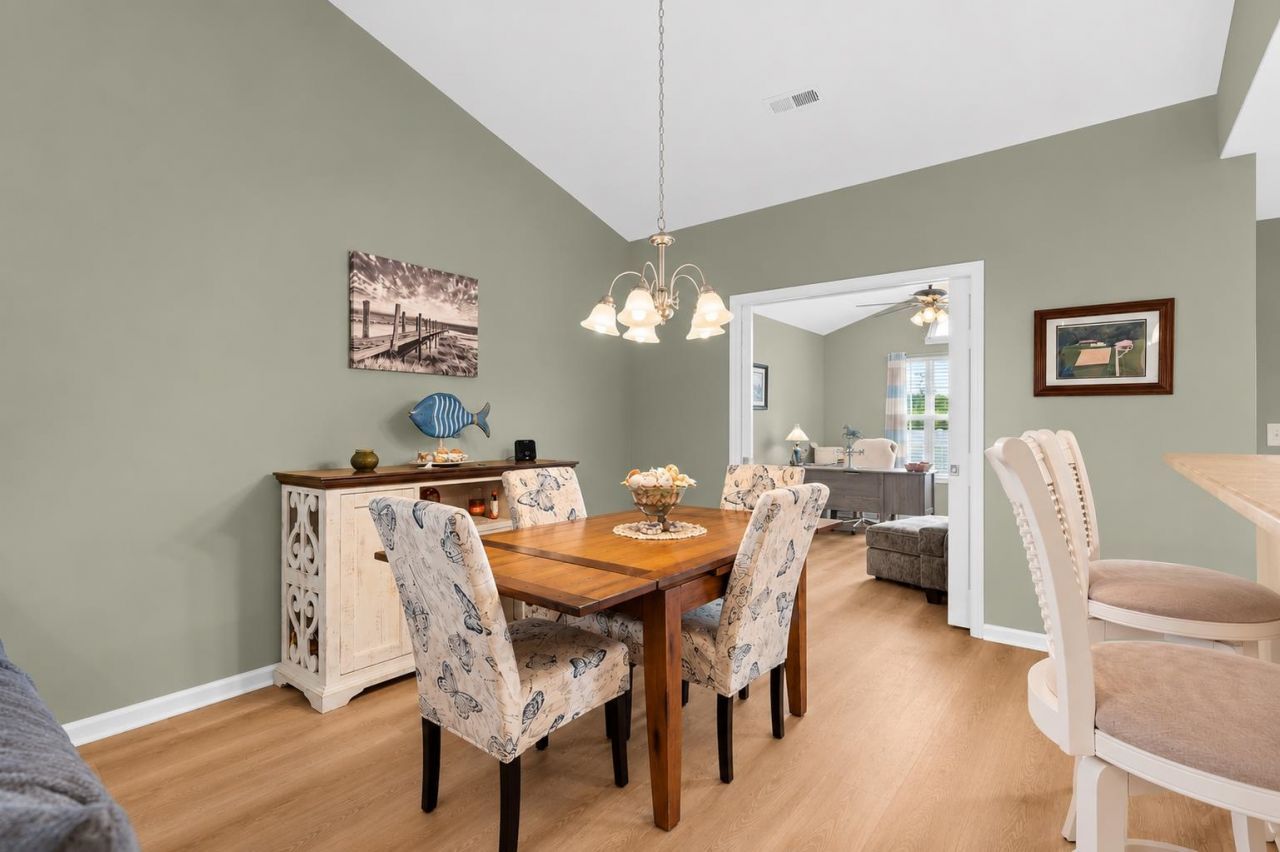 252 Hickory Springs Ct.  Photo 11