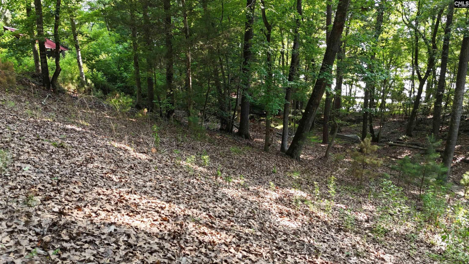 1676 Ginko Trail  Photo 9
