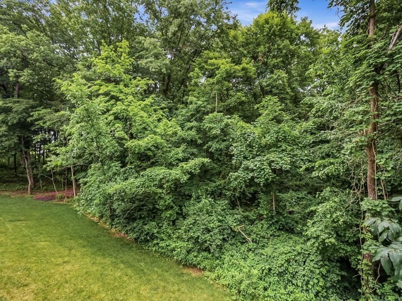 10281 Durham Court, Plain City, OH 43064 Photo 50