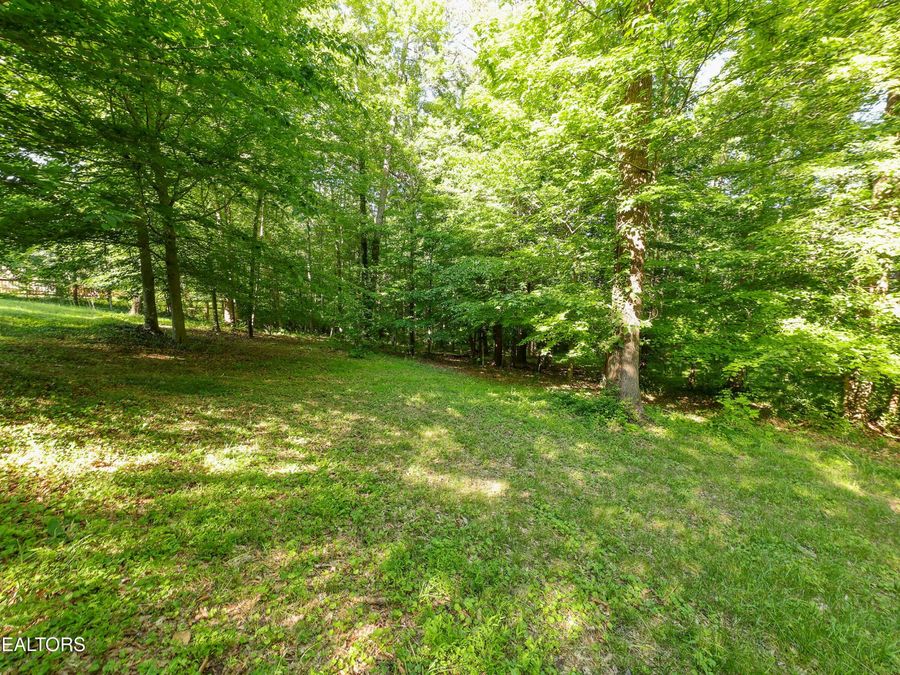 Property Image 54